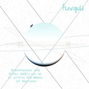 Greenhouses and Other Oddities on or within the Moons of Neptune